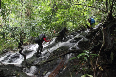 upacara miring bukit tilung kalimantan barat image