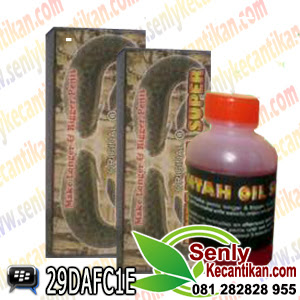 oil pembesar penis,black mamba oil,paket terapi,pembesar penis,obat pembesar penis,pembesar alami,pembesar herbal,lintah oil,minyak lintah oil super asli