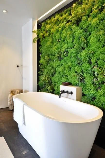 fürdőszoba és növények