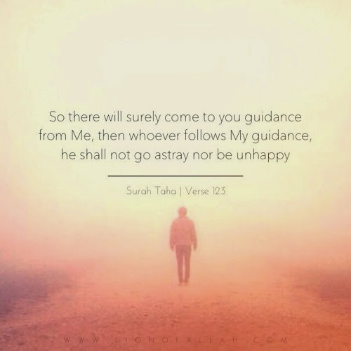 What if you follow Allah guidance 