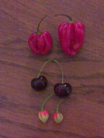 four chiles and two cherries