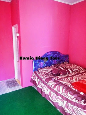 Kamar puntadewa dieng