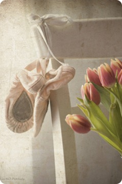 zapatillas  y  tulipanes  con textura-1 con bordes y BR