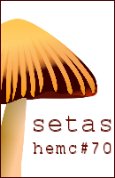 HEMC #70- Setas