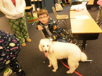 White poodle, Carma Poodale, teaches children about dogs