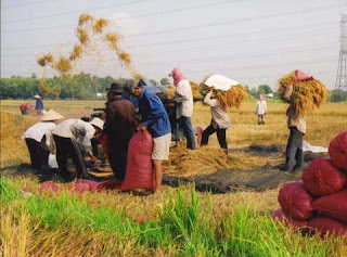 Khó khăn khi triển khai các chính sách vùng, địa phương