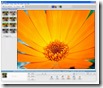 tn_picasa