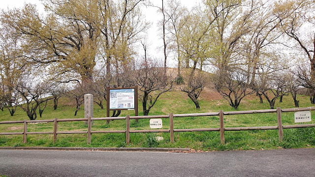 古室山古墳(藤井寺市)