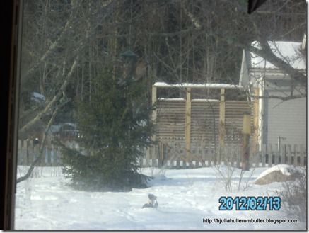 PICT0569