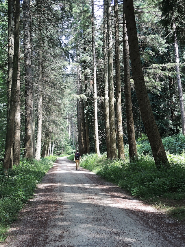 De Koninklijke wandeling in Tervuren