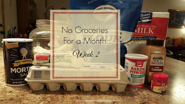 No Groceries for a Month Week 2
