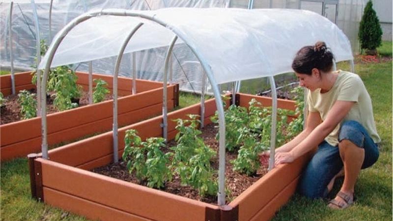 San Francisco Climate Action Plan - Small Green House Plans