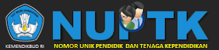 Pusat Informasi Data NUPTK dan GTK, Website Informasi GTK