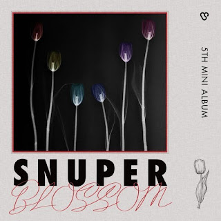 Download Lagu MP3 MV [Full Album] SNUPER – BLOSSOM