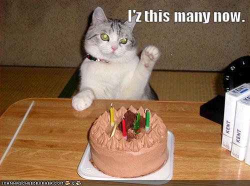 Funny Birthday Quotes and Funny Birthday Pictures Birthday Girl