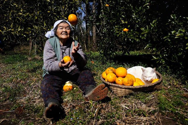 A grandma and her cat are best friends, Misa and Fukumaru, odd eyed cat