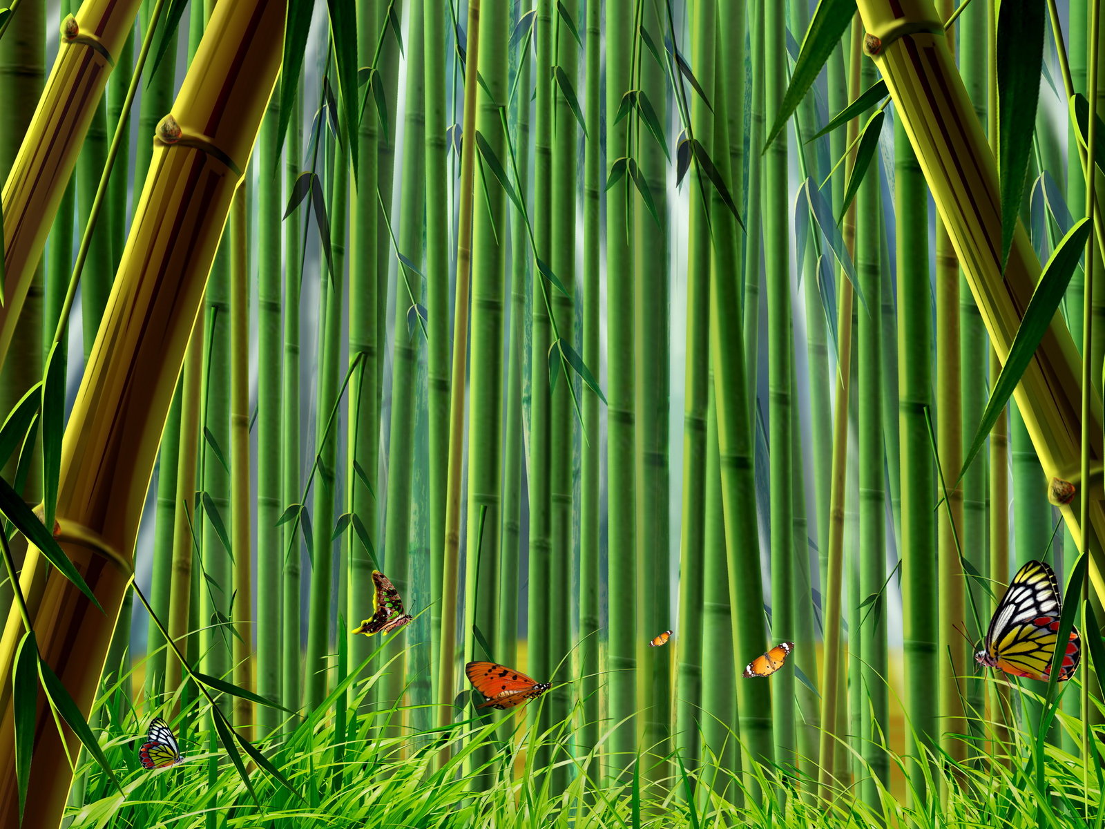 Bamboo Wallpaper: Bamboo Wallpapers Collection 20-30