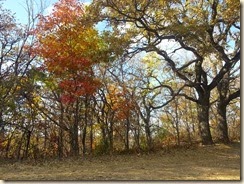 20131104_151711