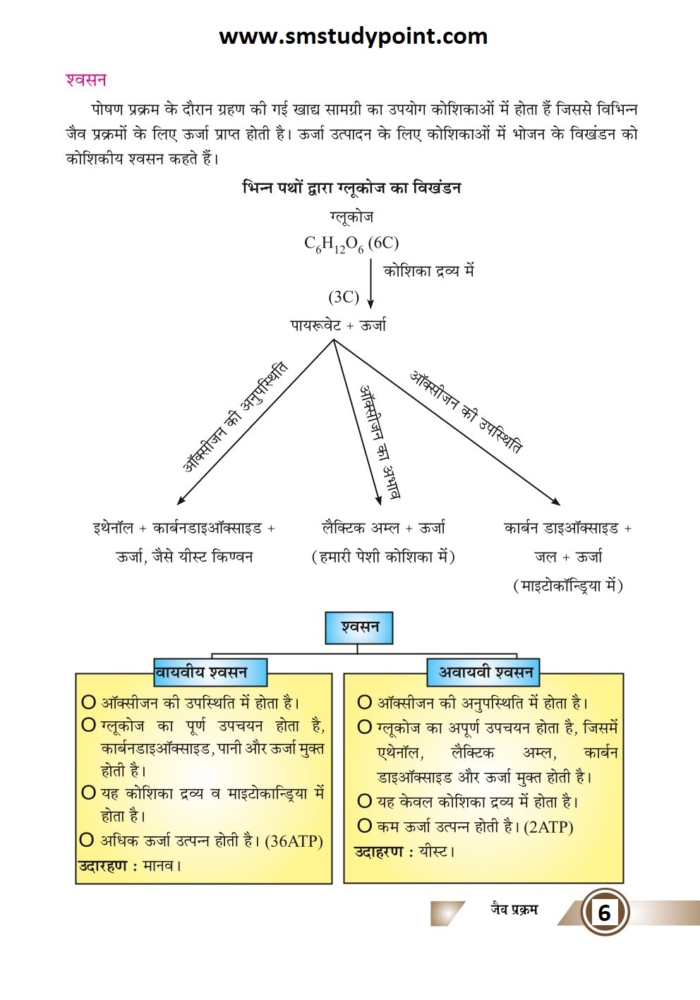 Bihar Board Class 10th Biology | Biological Process | Class 10 Biology Chapter 1 Rivision Notes PDF | जैव प्रक्रम | बिहार बोर्ड क्लास 10वीं जीवविज्ञान नोट्स | कक्षा 10 जीवविज्ञान हिंदी में नोट्स