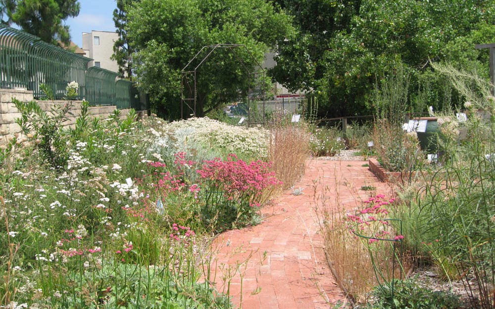 Designing Your New California Garden: 9 Managing Water – Part 2