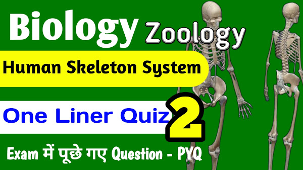 मानव कंकाल तंत्र One Liner Quiz