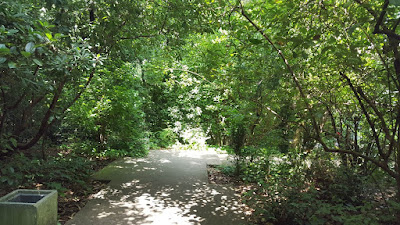 (Almost) Wordless Wednesday - a walk in the park, The Gulbenkian Gardens, in Lisbon.