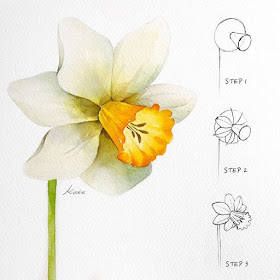 03-Daffodil-Kate-Kyehyun-Park-www-designstack-co