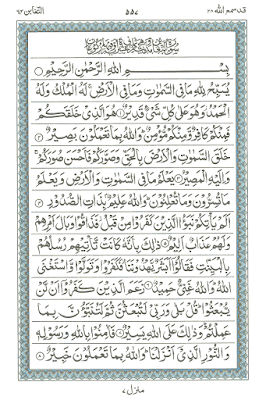 Surah At Taghaabun Ayat 1-8