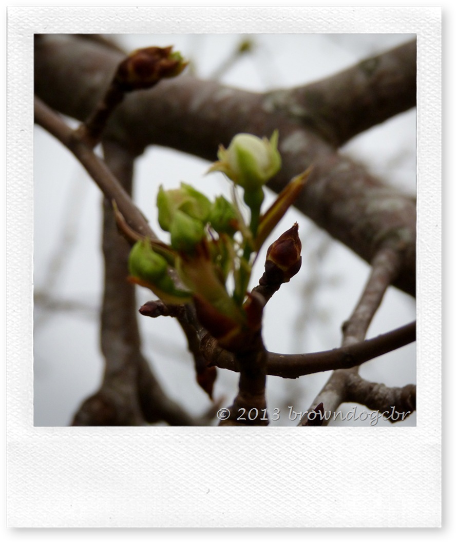 P1180659