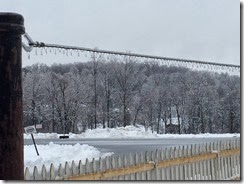 IMG_0375