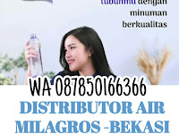 √ WA 087850166366 Distributor Milagros Bekasi