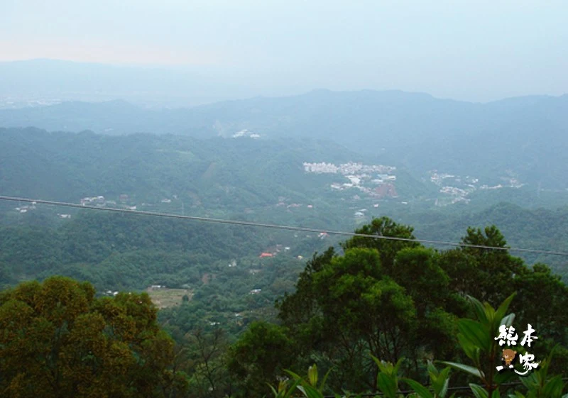 紫微森林｜三峽景觀餐廳｜三峽看夜景的地方｜近天后宮美食餐廳