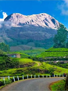 Munnar (Best Honeymoon Destinations In India) 1