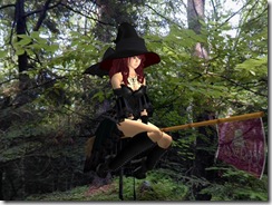 Tvd_20091021a_011