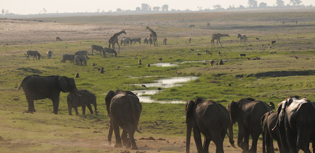 objek wisata pupuler botswana, tempat wisata botswana, kunjungan botswana, wisata nasional botswana