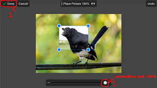 Tutorial Edit Foto Malipulasi Hewan Dengan PicSay Pro