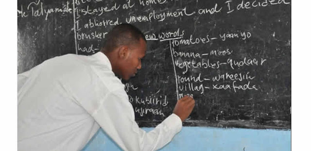 Over 90% of Private School Teachers In South-West Not Qualified – TRCN