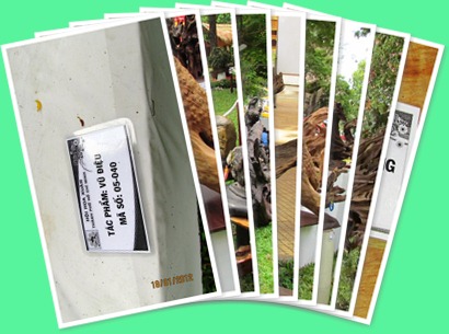 View album