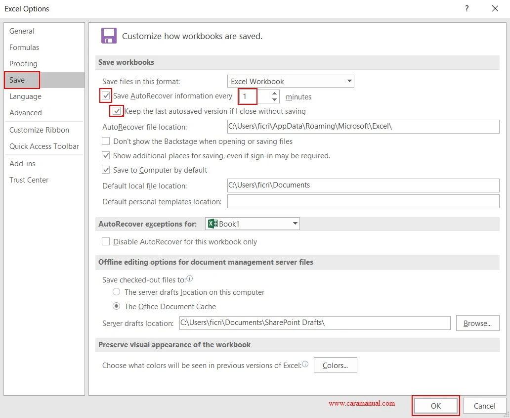 Excel Options - AutoSave