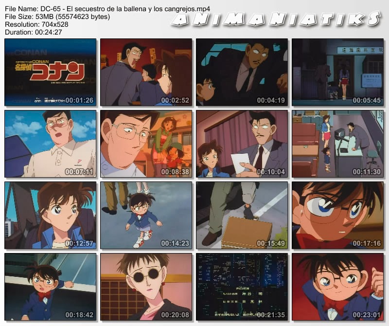 detective conan