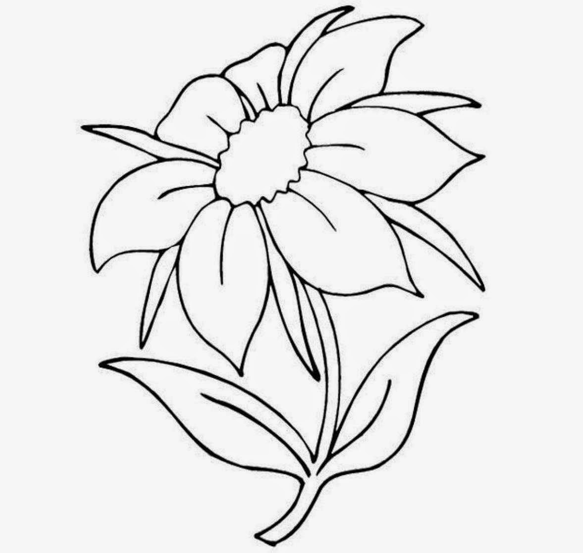 Beautiful Flower Coloring Drawing Free wallpaper