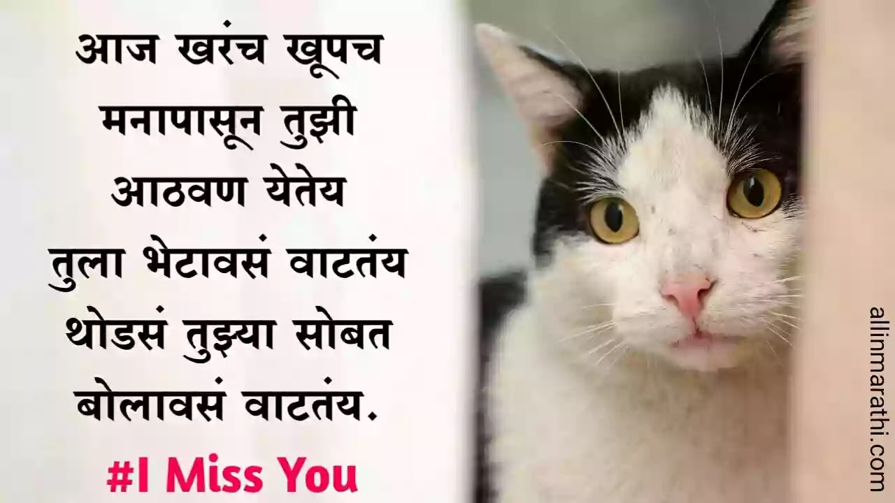 Miss-you-status-marathi