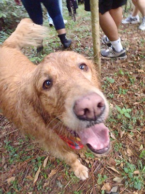 Pets Adventure 6 (43)