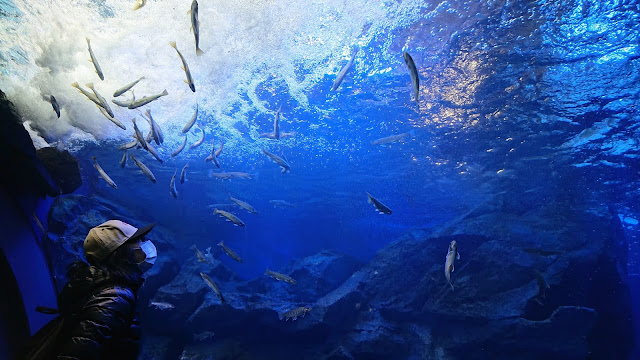 北の大地の水族館 山の水族館 北海道