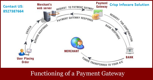 https://crispinfocare.com/plans.html