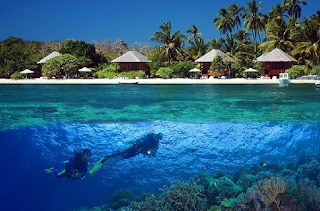 Wisata Bahari di Wakatobi Island Yang wajib kalian Tahu