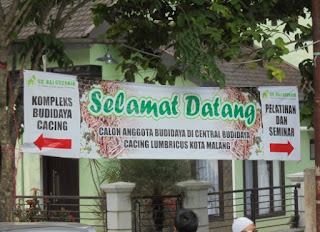 Tugas Kuliah, Makalah Kewirausahaan, Pengusaha Cacing Tanah, Ilmu Komunikasi, Fisip, Budidaya Cacing