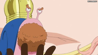 ワンピースアニメ 魚人島編 569話 ネプチューン 電伝虫 | ONE PIECE Episode 569