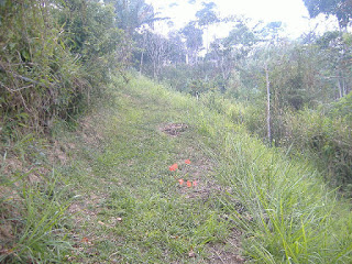 A 30 minutos de Baruta y 26 minutos desde el Hatillo, se accede a través de 2 vías hacia la Exótica , Abundante y exuberante HACIENDA LA MATA, Vía Turgua, la cual puede llevar Desde el pueblo el Hatillo pasando por Oripoto – sector gavilán o desde Baruta tomando la vía a el Placer y Los Guayabitos. Se ve lotes de terrenos (vía principal, semi inclinado, carretera interna de tierra, clima de montaña y encantadora vista de panorámica original de la zona) para realizar cultivos agrícolas o ejecutar una (1) o múltiples Vivienda Unifamiliar (inversión a largo plazo) con su atinado avaluó de estudio de suelo, cálculos estructurales (memoria descriptiva – con pilotaje) e Instalaciones Sanitarias (acceso a todos los servicios). Documento de propiedad debidamente inscrito en el Registro del Municipio El Hatillo del Estado Miranda. SE ESCUCHA OFERTA