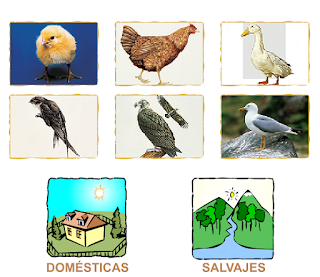http://primerodecarlos.com/SEGUNDO_PRIMARIA/noviembre/Unidad_4/actividades/cono_unidad4/aves_corral_silvestres.swf